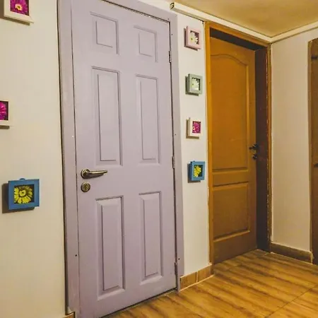 Center 2 דירה סופיה