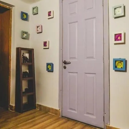 Center 2 ソフィア